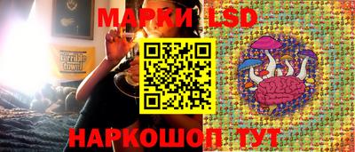 mdpv Тверь