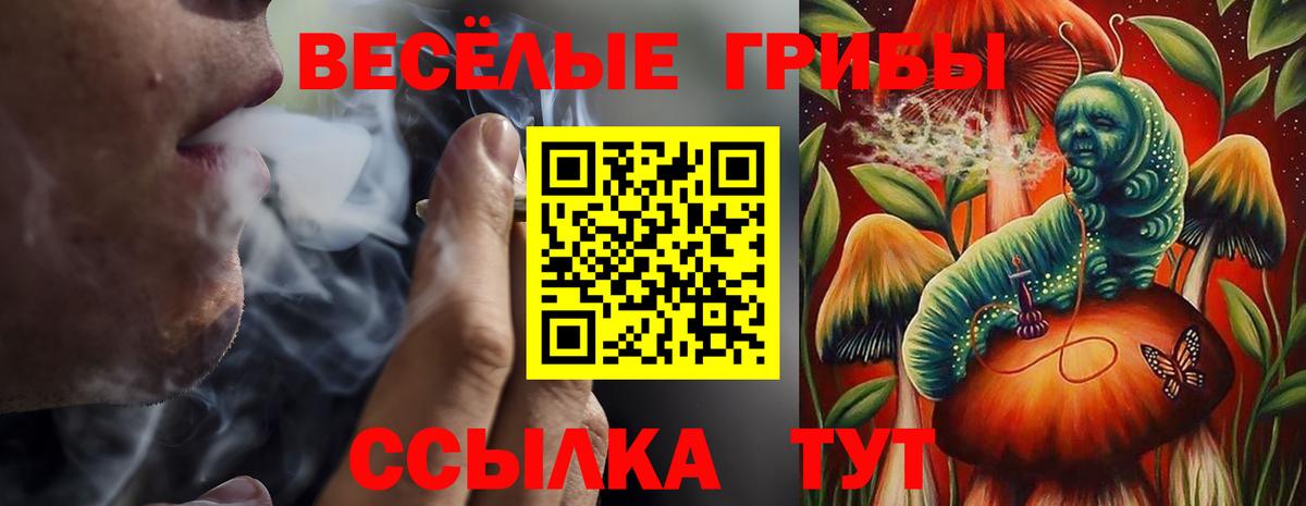 Галлюциногенные грибы ЛСД  Галлюциногенные грибы Cubensis  Новокубанск  Вход с VPN 
