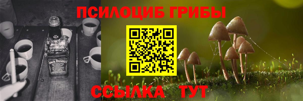 Галлюциногенные грибы GOLDEN TEACHER Новокубанск